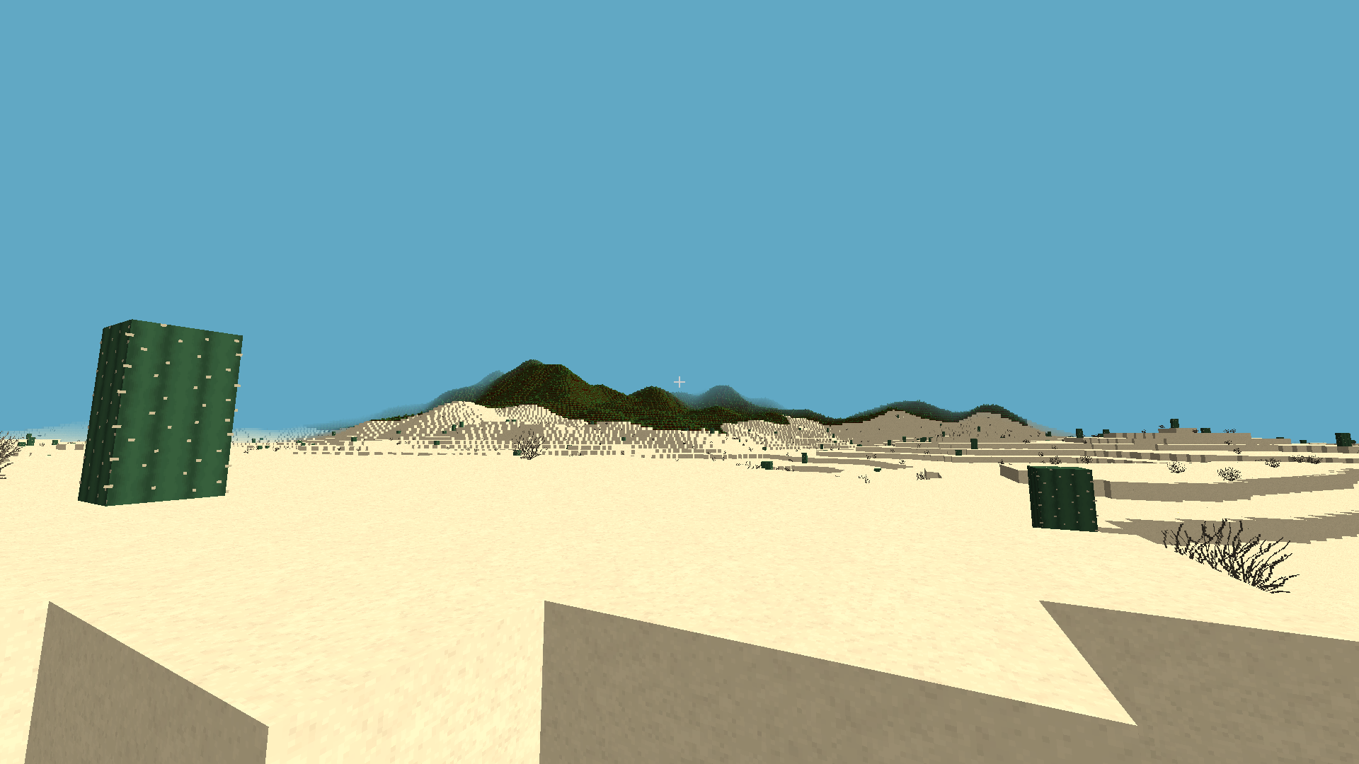 Desert Biome